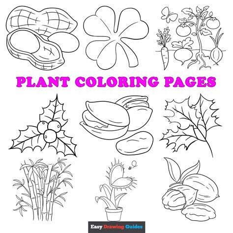 Plant Coloring Page Simple