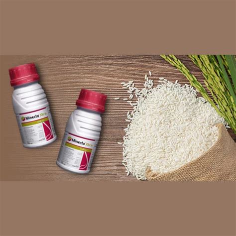Syngenta Minecto Xtra (Cyantraniliprole 16.9% + Lufenuron 16.9% SC) In ...