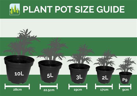 Planting Pot Sizes Standard