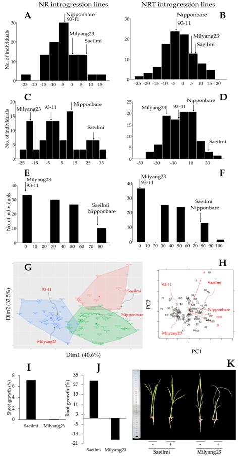 Image result for Frequency Distribution Analysis