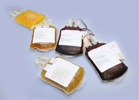 Can plasma transfusions really reverse aging?
