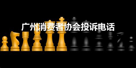 搭建高效“民生桥”！潮州市12345投诉举报平台上半年群众满意率100%-搜狐大视野-搜狐新闻