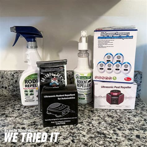 6 Best Mouse & Rodent Repellents (Editor Reviewed)