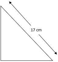 The perimeter of a right triangle is 40 cm and its hypotenuse measures ...
