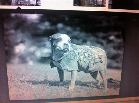 THE BLACK SOCIAL HISTORY:: BLACK SOCIAL HISTORY : AFRICAN AMERICAN ...