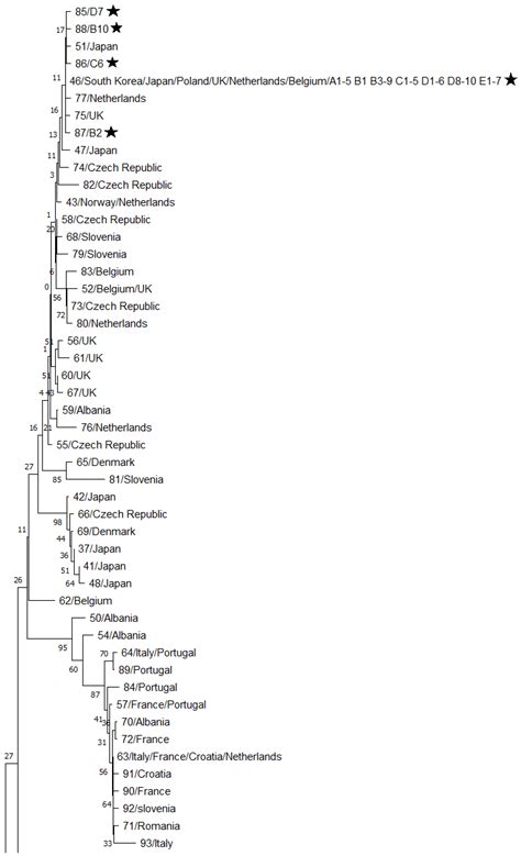 Genetic Characterization of the Poultry Red Mite (Dermanyssus gallinae ...