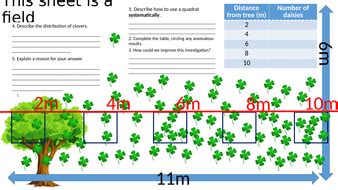 Image result for Sampling Using Quadrats BBC Bitesize