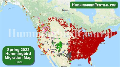 Image result for Hummingbird Tracking Map