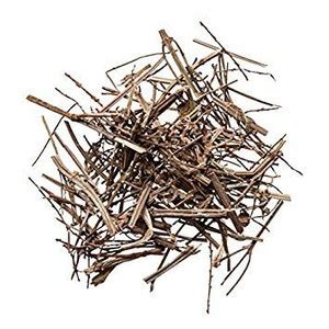 Jual 100 G GR GRAM MA BIAN CAO VERBENA HERB HERBA VERBENAE - Kota ...