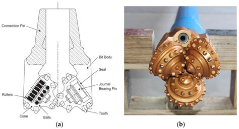 Modelling and Simulating Eulerian Venturi Effect of SBM to Increase the ...