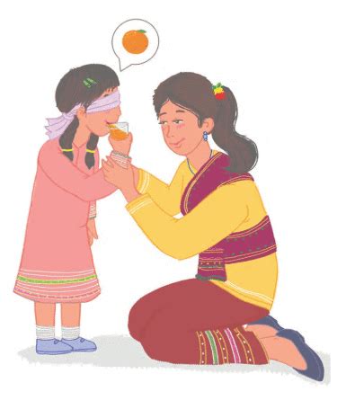 Seeing without Seeing Class 2 Notes English Free PDF