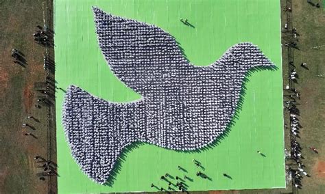 Hyderabad Sets Guinness World Record with Largest Human Dove Formation