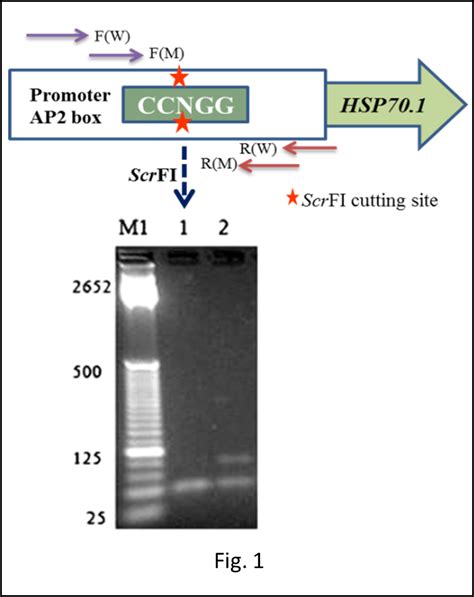 Research Highlights : School of Atmospheric Stress Management | ICAR ...