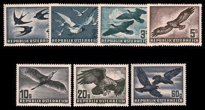 Image result for DDR Extreme Memory Card