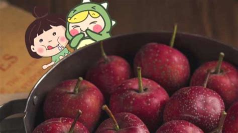 为什么山楂含糖量秒杀西瓜，却能酸掉牙？_淘宝吃货-梨视频官网-Pear Video