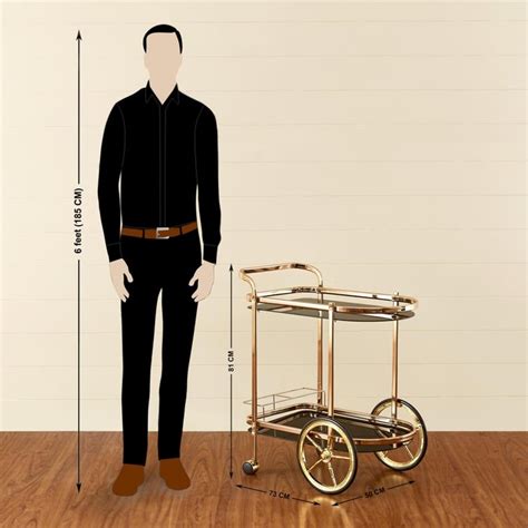 Buy Nautica Serving Trolley - Gold from Home Centre at just INR 33332.0