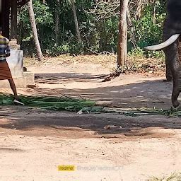 Best Top Rated Animal shelter in Triprayar, Kerala, India | Yappe.in