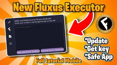 Image result for Fluxus Script Executor