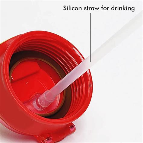 Little Surprise Box Lucky Dragon Theme Kids Water Bottle - LSB - WB ...