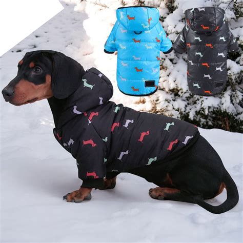 Clothes for Dachshunds – Dachshund Shop