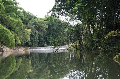 La Paseadora del Rio Espiritu Santo (Rio Grande) - All You Need to Know ...