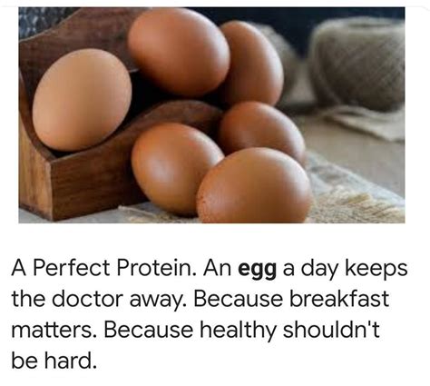 Write some slogans on egg nutrition - Brainly.in