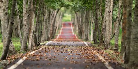 NHAI to Repair Ghat Road