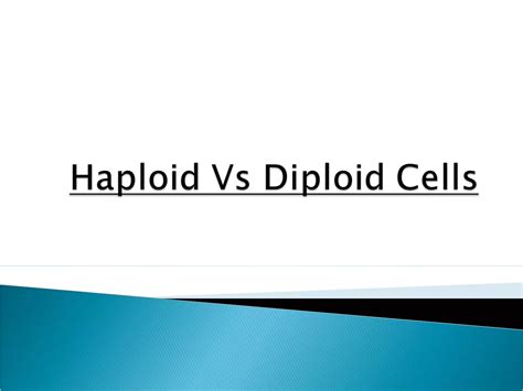 Haploid vs diploid cells | PPT