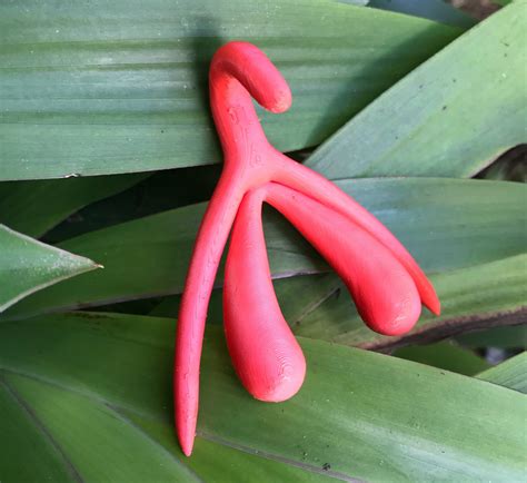 La Ciudad de las Diosas: Helen O’Connell, la médica que describió la anatomía del clítoris para ...