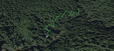 Grove of Titans, California - 5,751 Reviews, Map | AllTrails