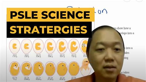 Image result for PSLE Science Explained