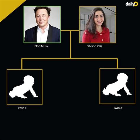 The Elon Musk Family Tree