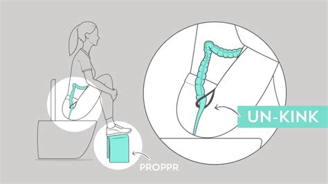 Image result for Straining Poop Animation