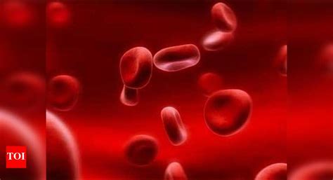 Blood storage centre can’t open because it’s six inches short | Nagpur ...