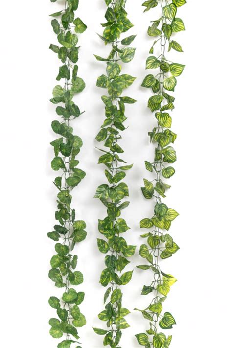 Artificial Creepers – ChhajedGarden.com
