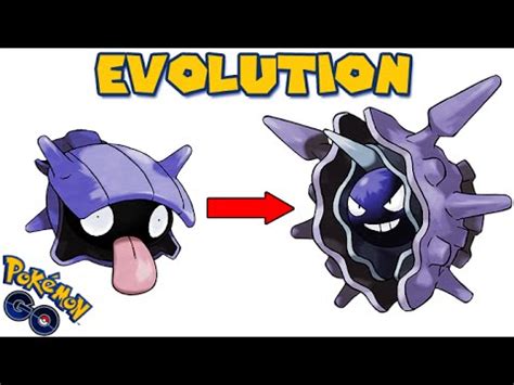 Image result for Shellder Evolution