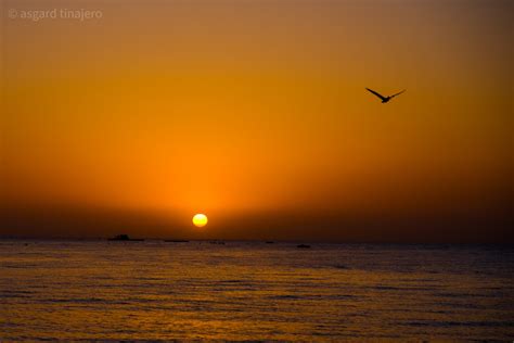 San Felipe, Baja California: dunas, pesca deportiva y pinturas rupestres