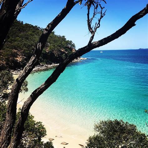 YEPPOON BEACHHOUSE - Hostel Reviews, Photos, Rate Comparison - Tripadvisor