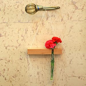 Brew Lab Glass Hydroponics Test Tube Planter with Wooden Stand ...