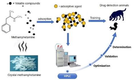 Determination of Methamphetamine by High-Performance Liquid ...