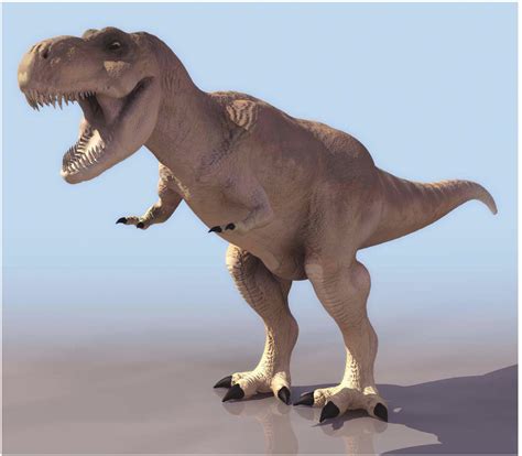 恐龙真的存在过吗信息大全-学前教育资源网