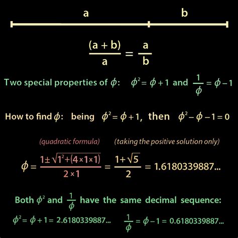 The fascination with the Golden Ratio | Meer