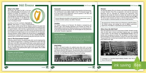 Dail Eireann Differentiated Reading Comprehension Activity