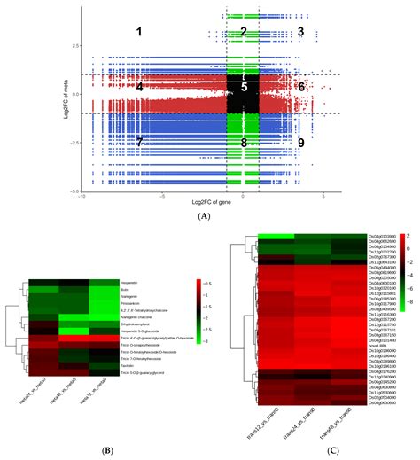Small Brown Planthopper Nymph Infestation Regulates Plant Defenses by ...