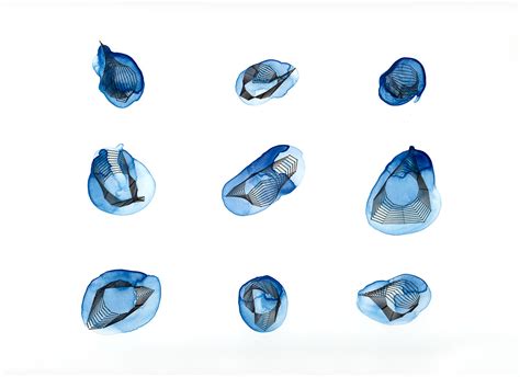 Image result for Vortex Braid