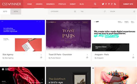 Image result for Best CSS Programer Trophy