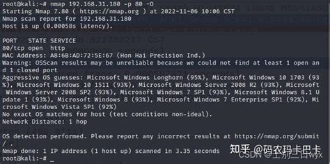 NetBox and Nmap 的图像结果