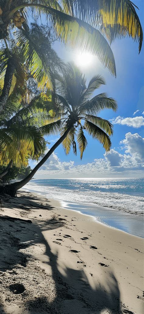 Bing Summer Beach Wallpaper 的图像结果