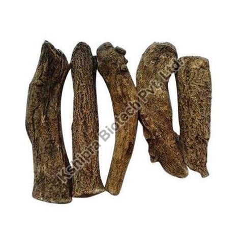 Kshipra Biotech Private Limited Indore - Ashoka Extract Manufacturer ...