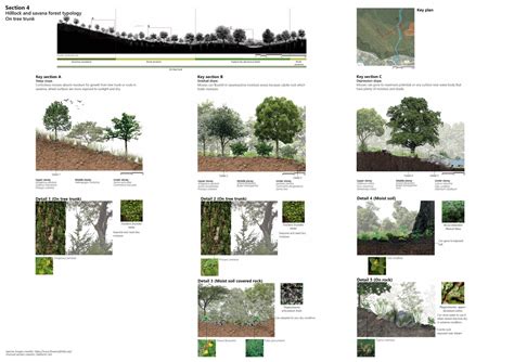 Moss - Mosaic in forest | CEPT - Portfolio